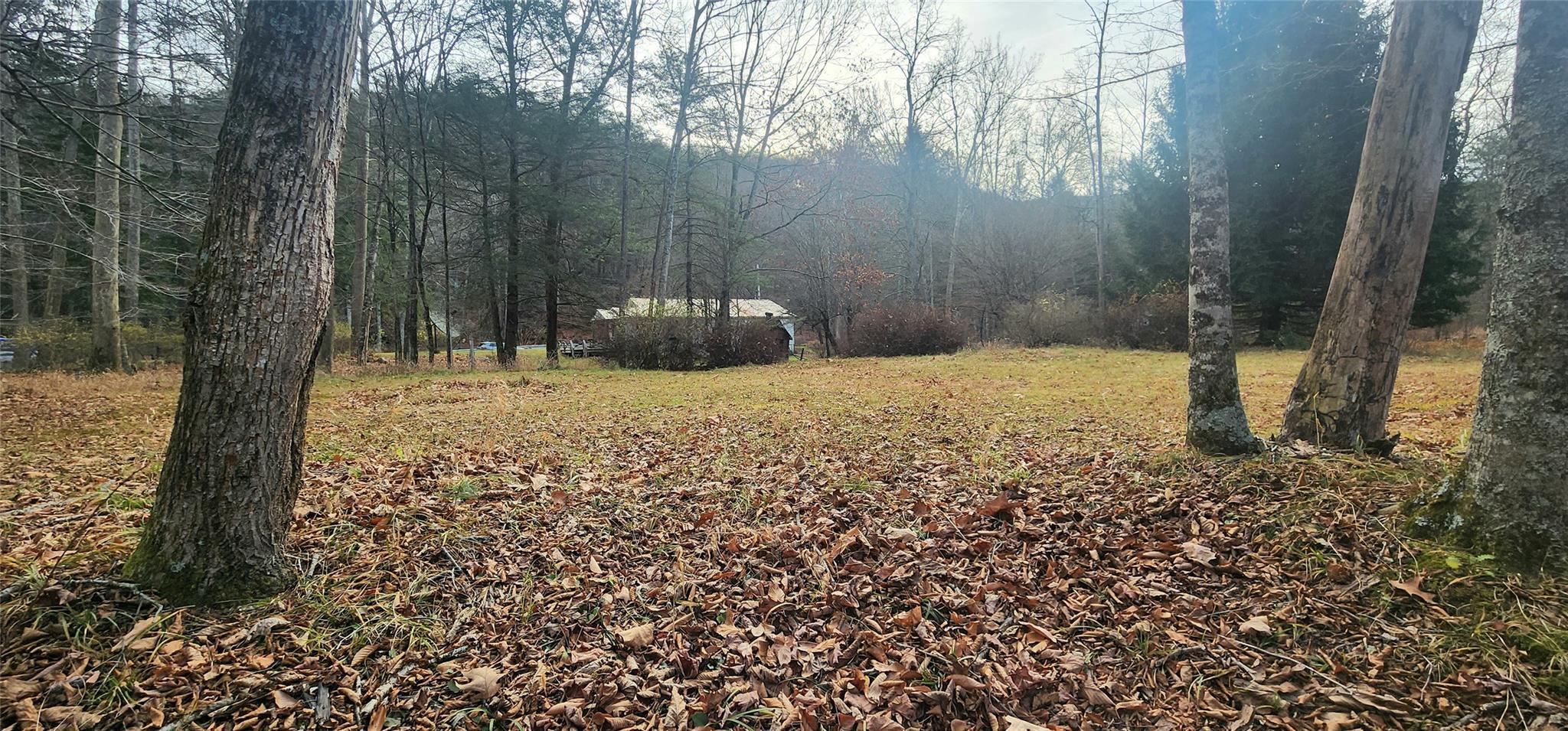 Single Family Peekamoose  Ulster County, NY 12740, MLS-801189-21
