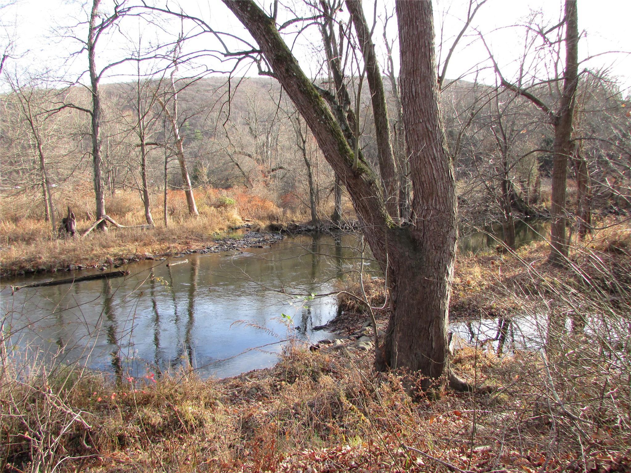 Single Family Orrs Mills  Orange County, NY 12577, MLS-802809-34