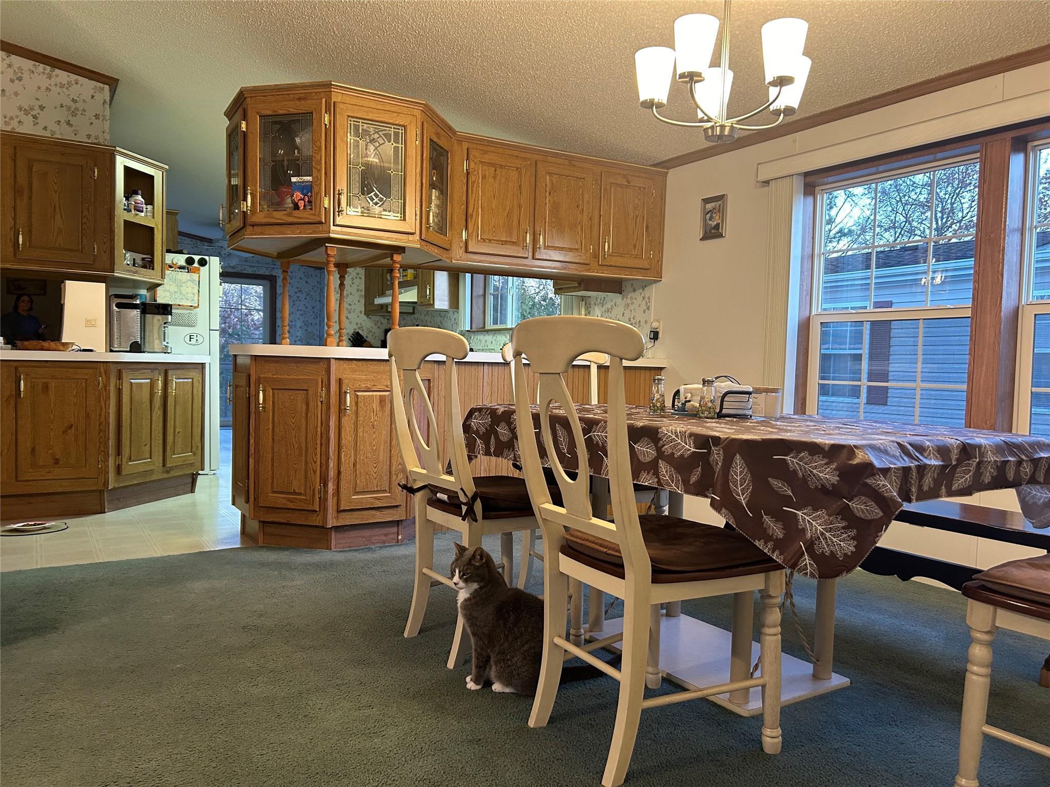 Single Family Daisy  Suffolk County, NY 11716, MLS-803592-5