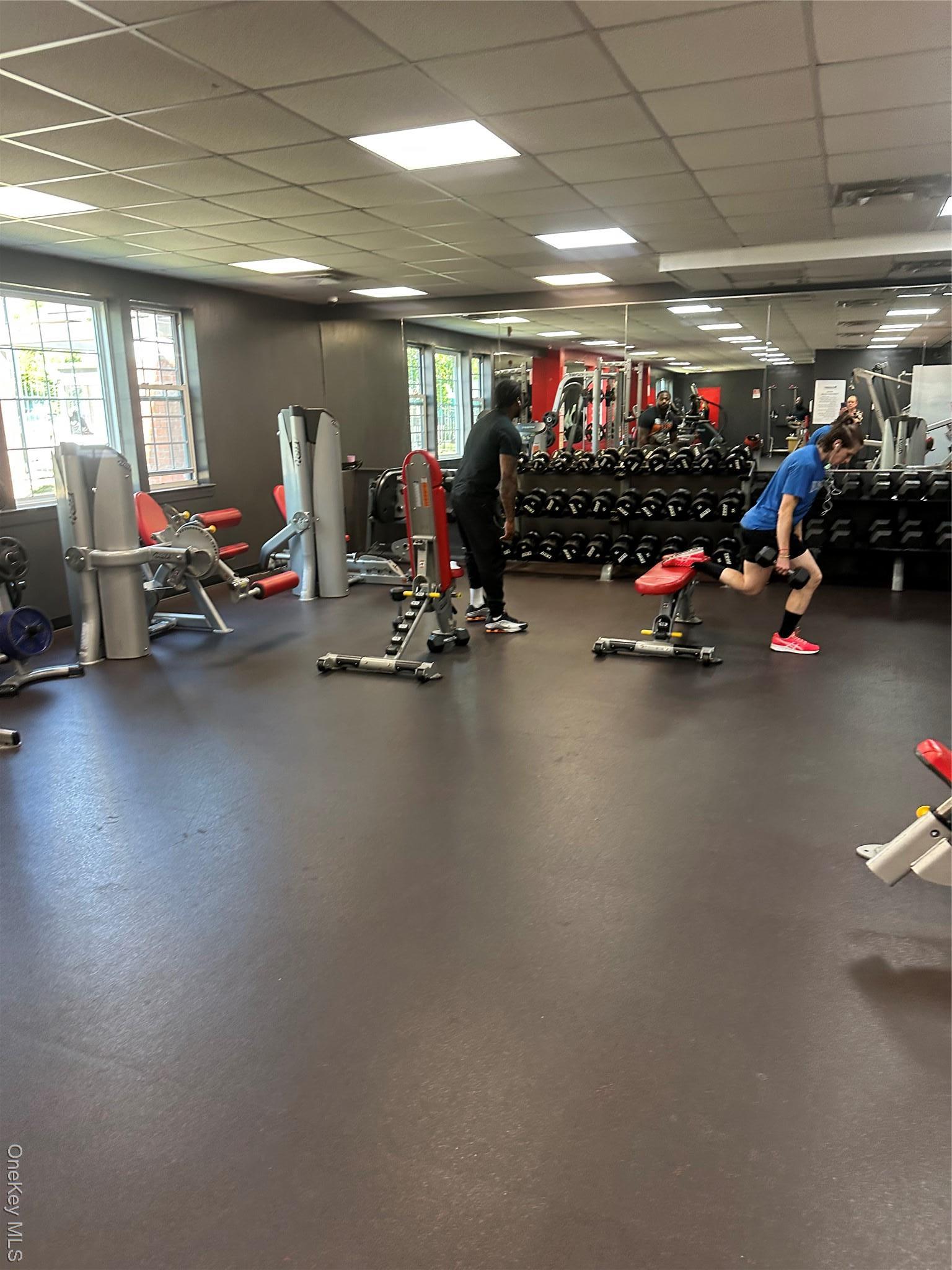 Single Family Dolphin Bronx, NY 10473, MLS-803678-24