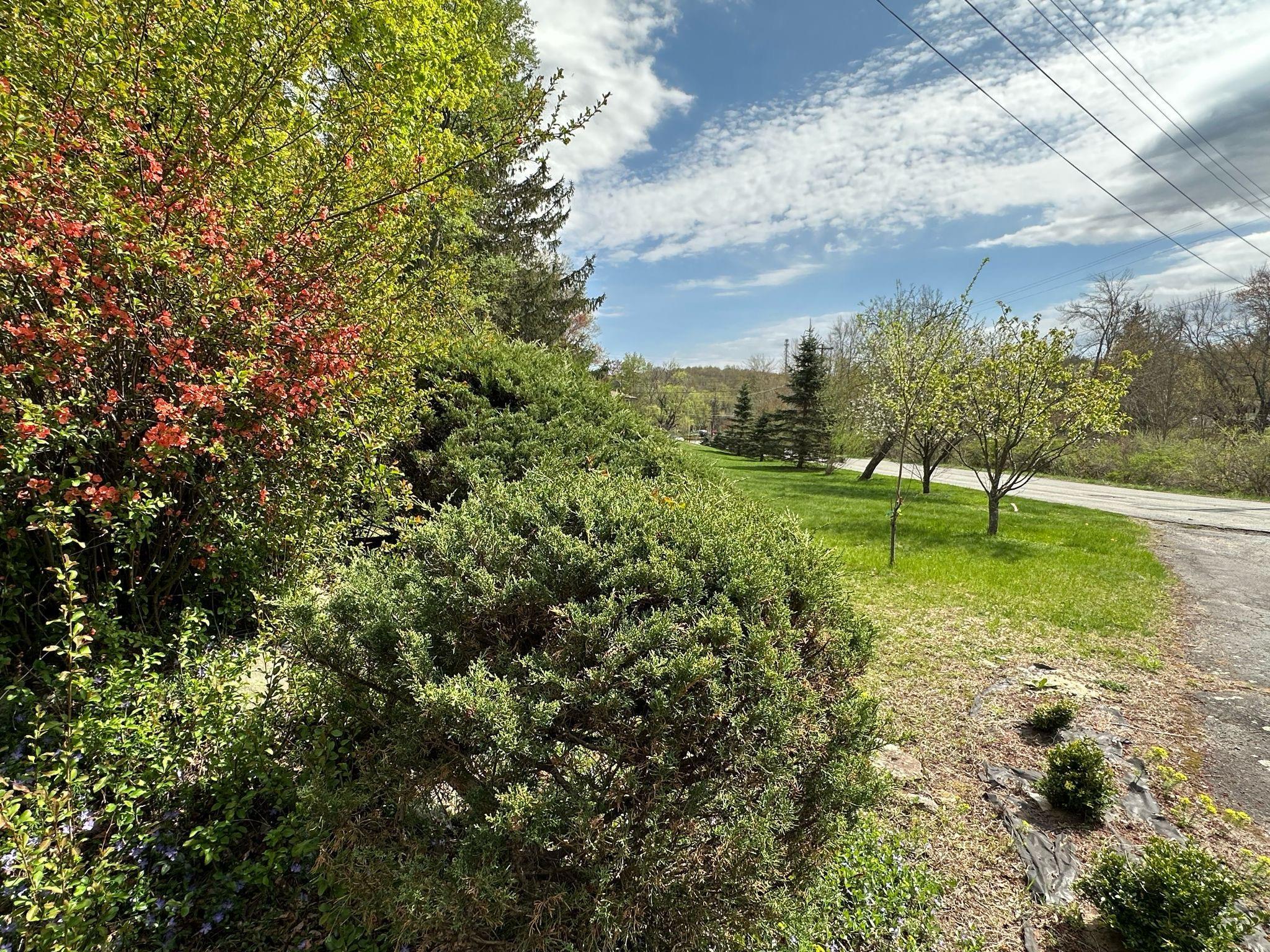 Single Family Diane  Sullivan County, NY 12789, MLS-803737-35