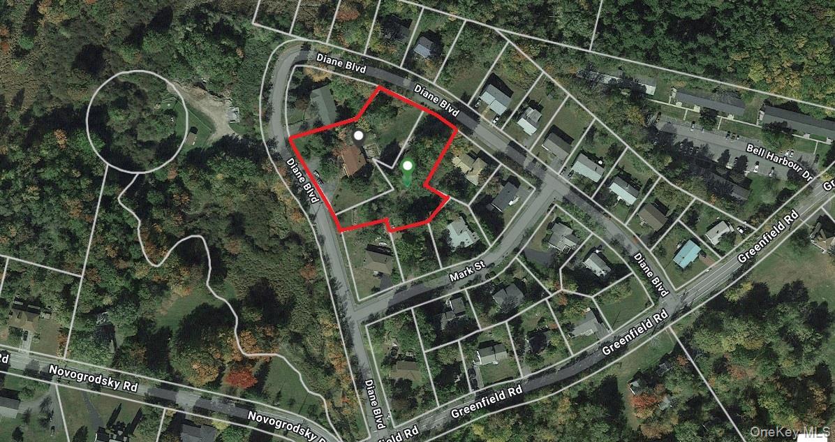 Single Family Diane  Sullivan County, NY 12789, MLS-803737-40