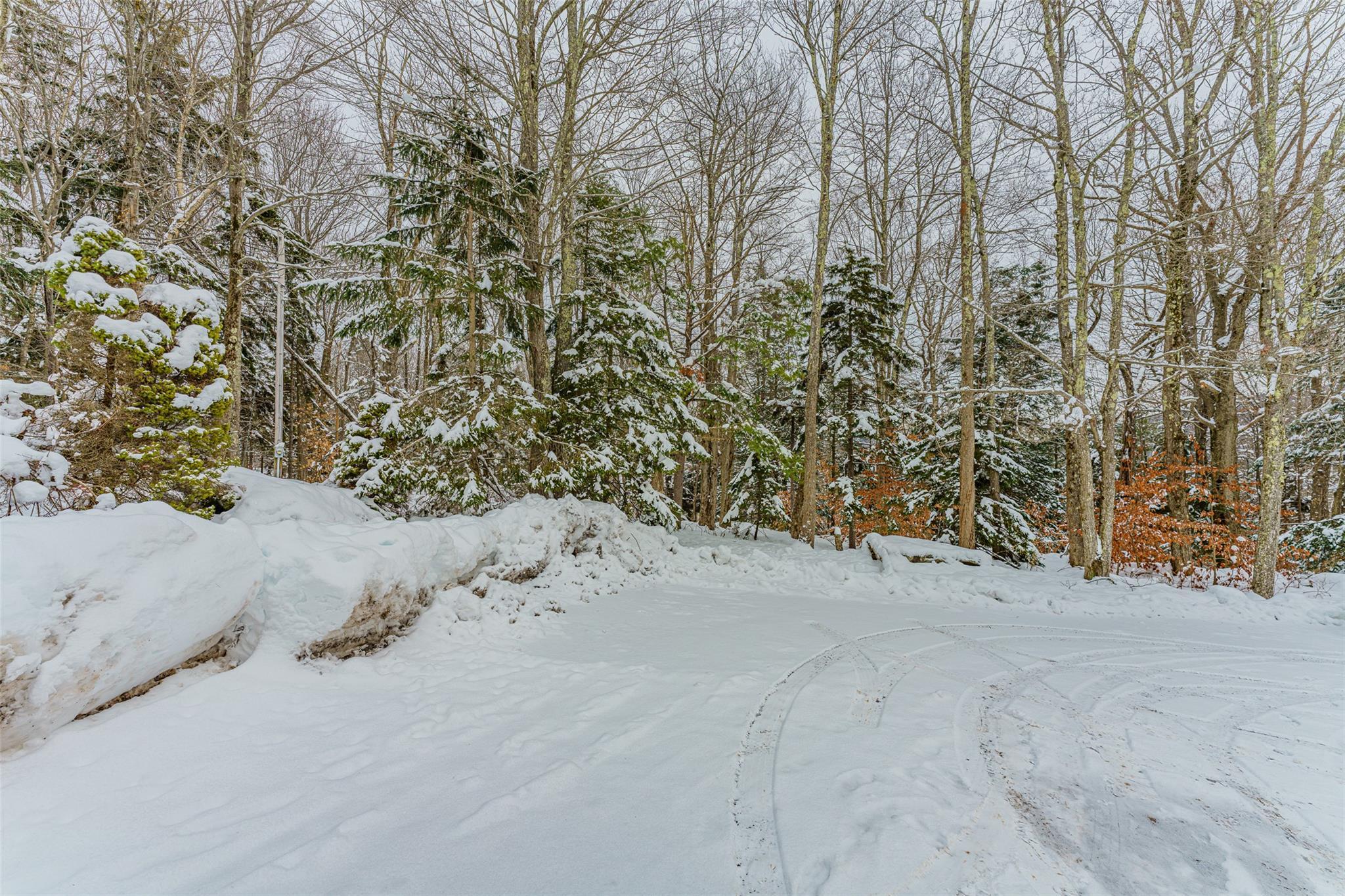 Single Family Fern Ridge Rd  Greene County, NY 12485, MLS-803919-4