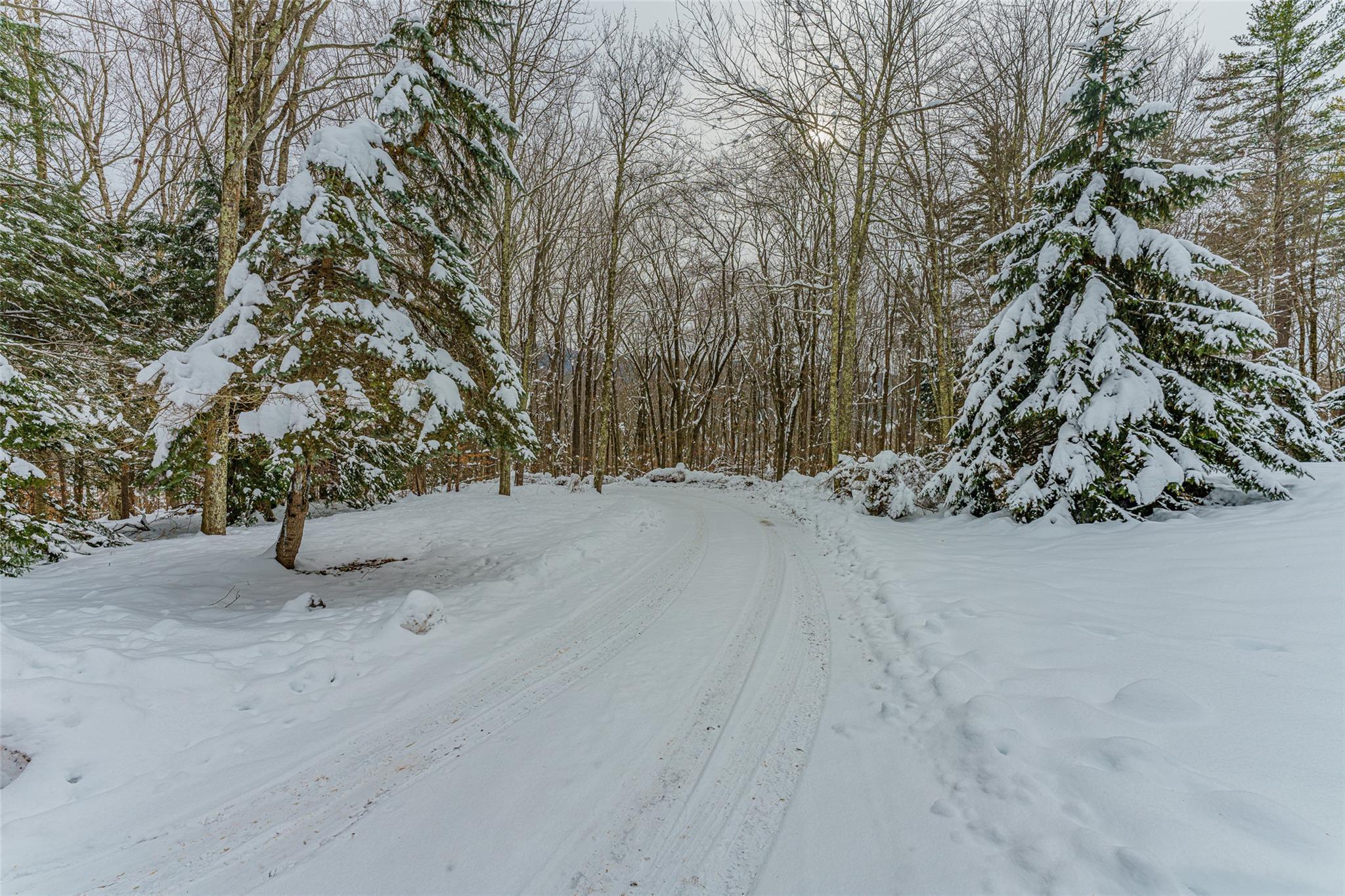 Single Family Fern Ridge Rd  Greene County, NY 12485, MLS-803919-5