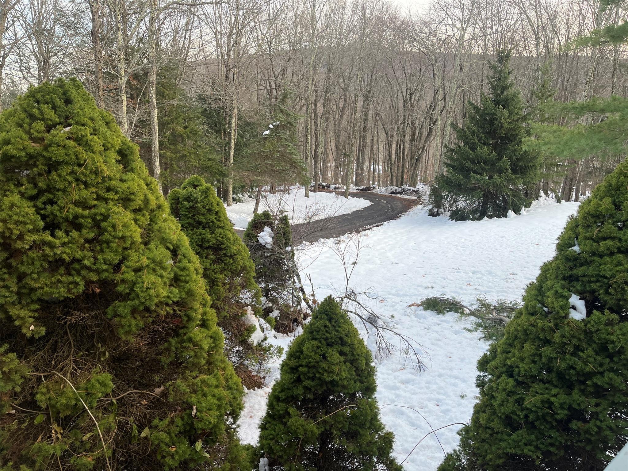 Single Family Fern Ridge Rd  Greene County, NY 12485, MLS-803919-7