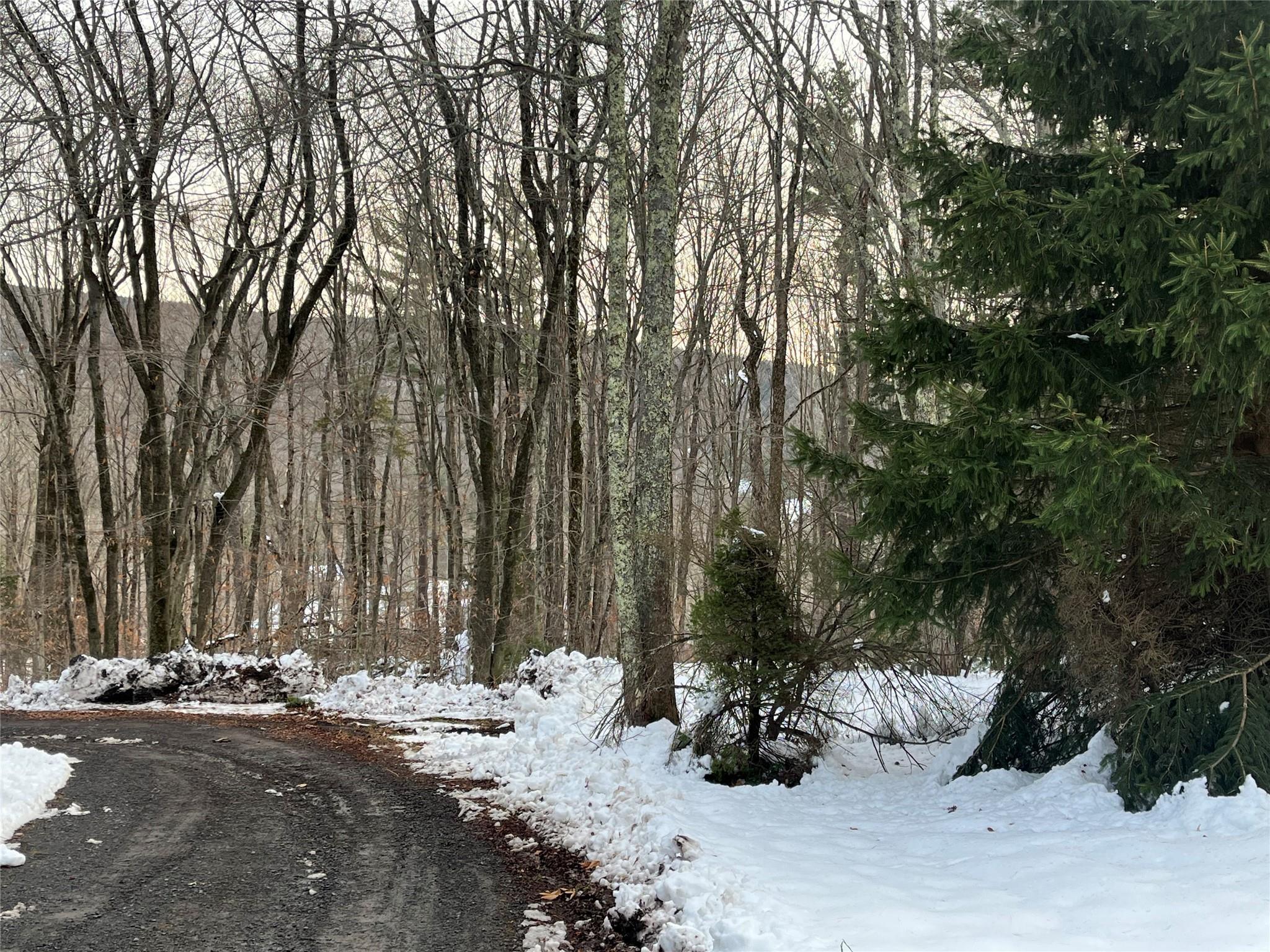 Single Family Fern Ridge Rd  Greene County, NY 12485, MLS-803919-9