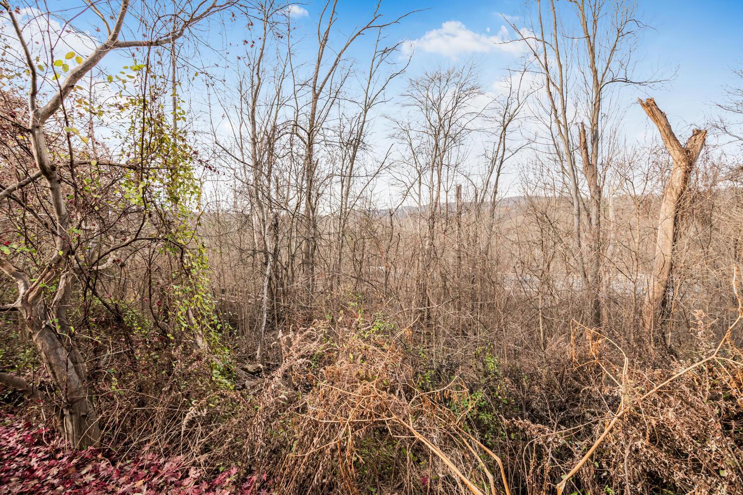 Single Family Westview  Westchester County, NY 10560, MLS-804138-27