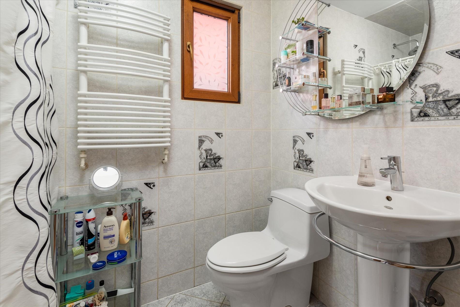 Single Family 84th  Queens, NY 11379, MLS-804653-11