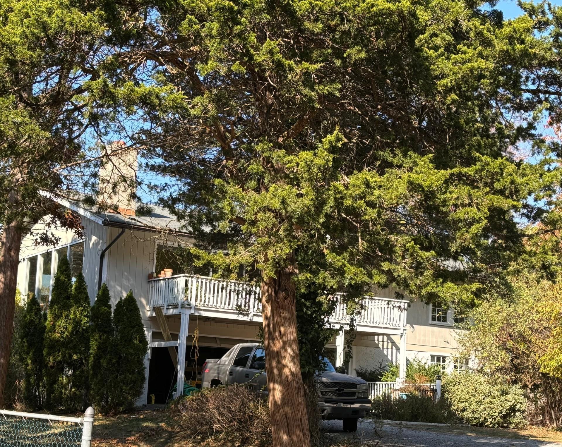 Single Family Beach Plum  Suffolk County, NY 11768, MLS-804861-6