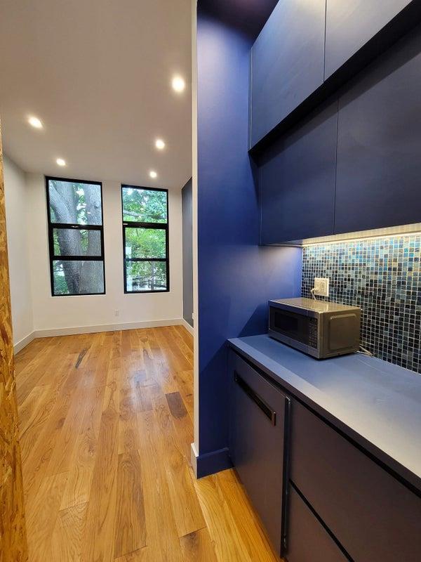 Single Family Halsey St  Brooklyn, NY 11207, MLS-805003-20