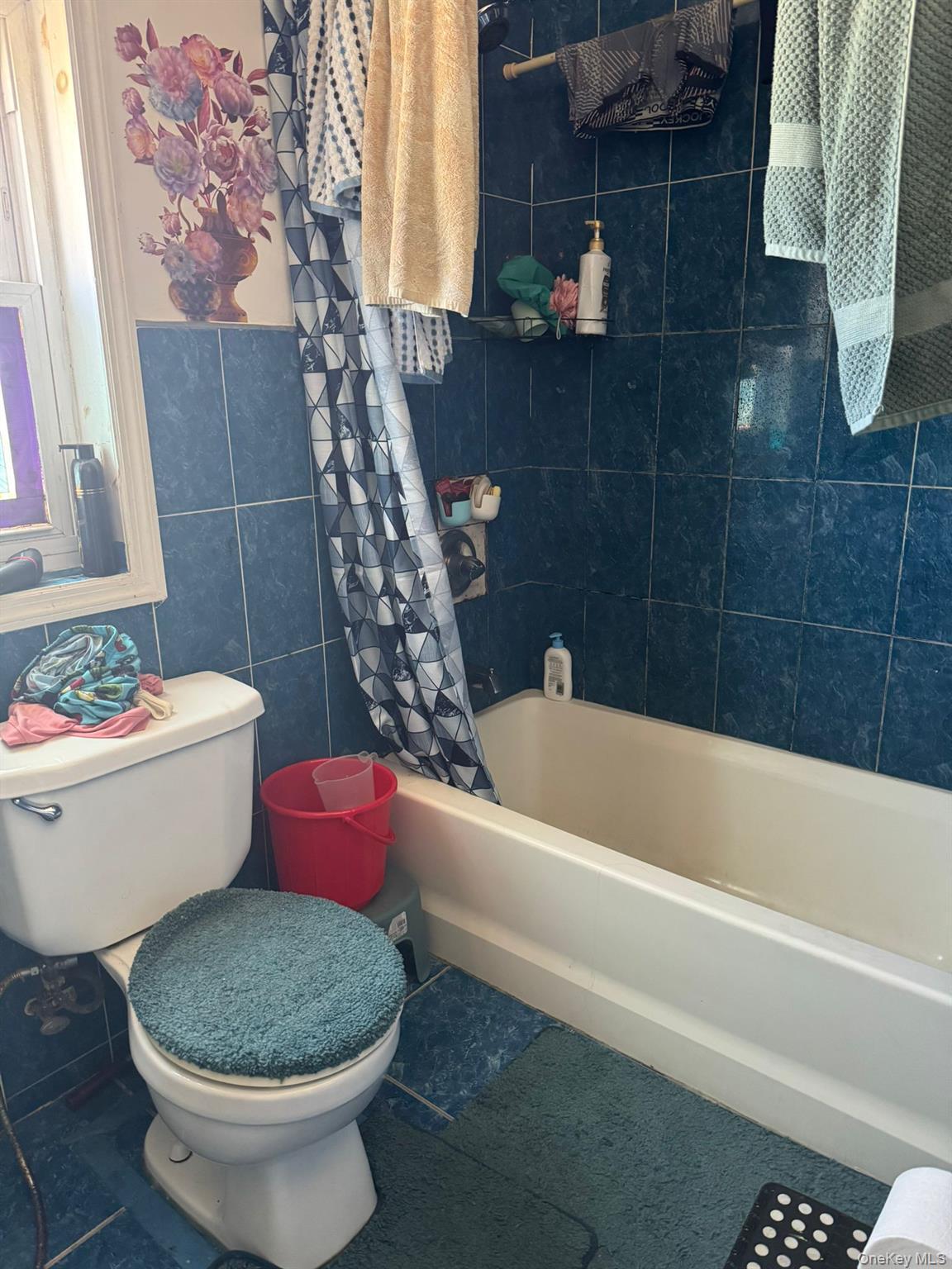 Single Family 126  Queens, NY 11419, MLS-805120-8