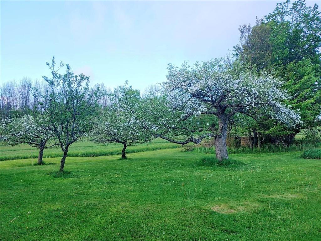 Single Family Hill  Sullivan County, NY 12748, MLS-805995-34
