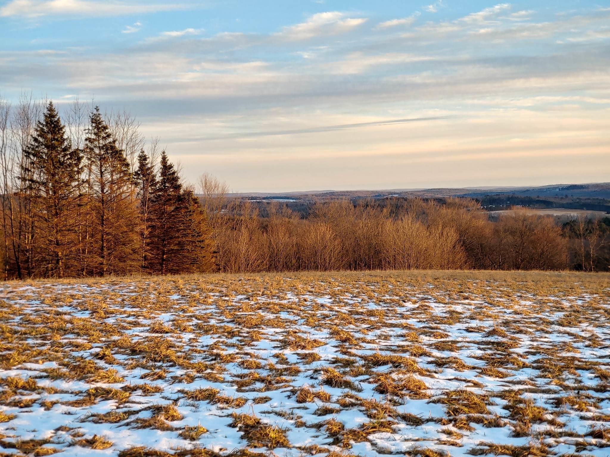 Single Family Hill  Sullivan County, NY 12748, MLS-805995-38