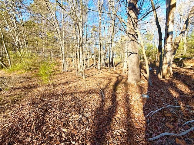 Single Family Muller  Orange County, NY 12780, MLS-806372-16