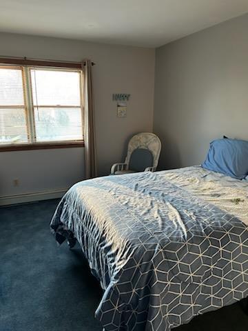 Single Family Clapp Hill  Dutchess County, NY 12540, MLS-807335-12