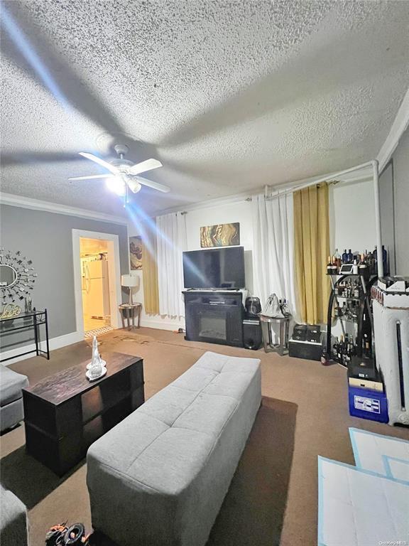 Single Family 90  Queens, NY 11435, MLS-807473-22