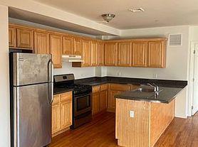 Commercial Sale Flatlands  Brooklyn, NY 11234, MLS-807492-5