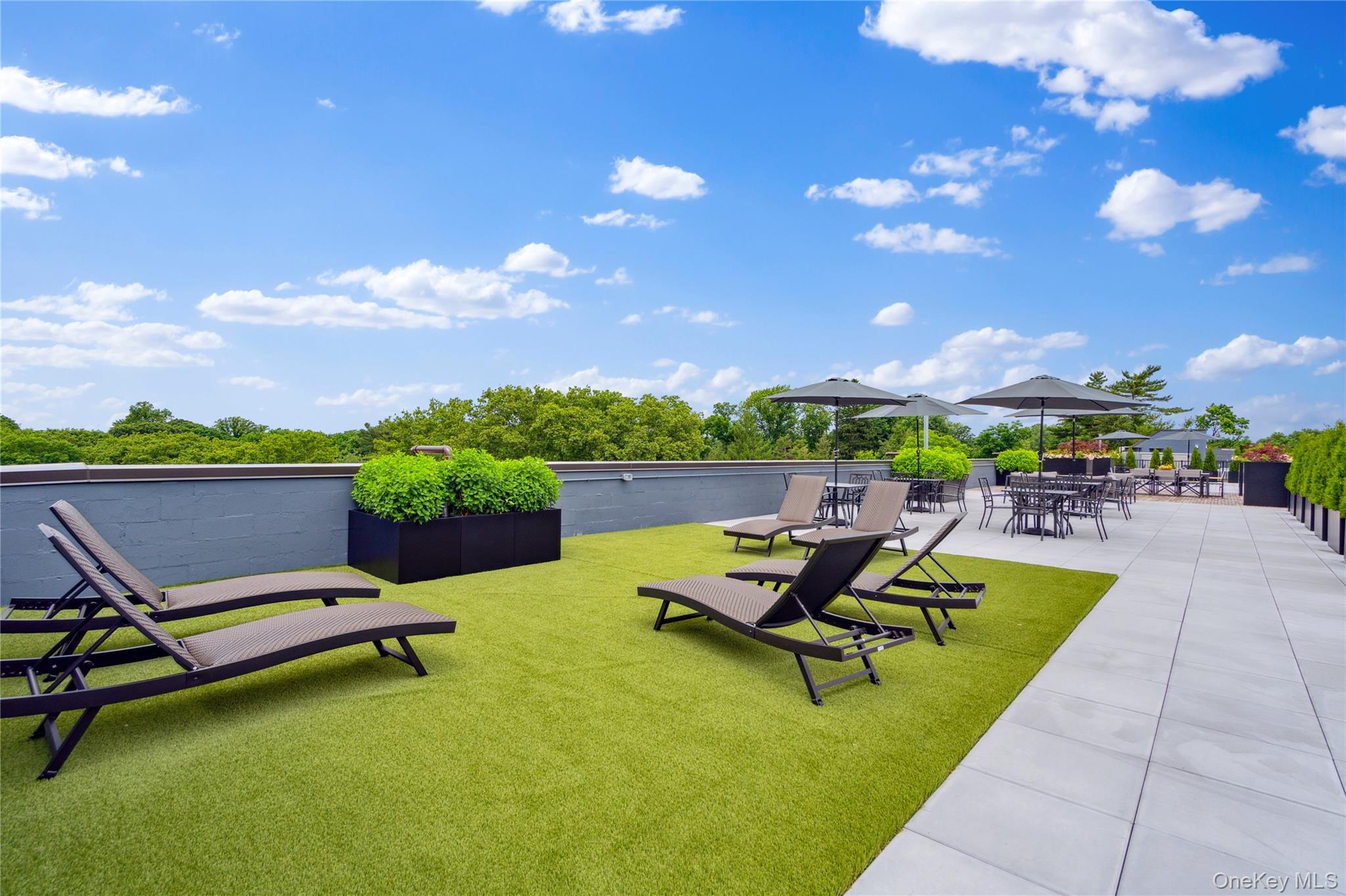 Condo Middle Neck  Nassau County, NY 11021, MLS-808510-11