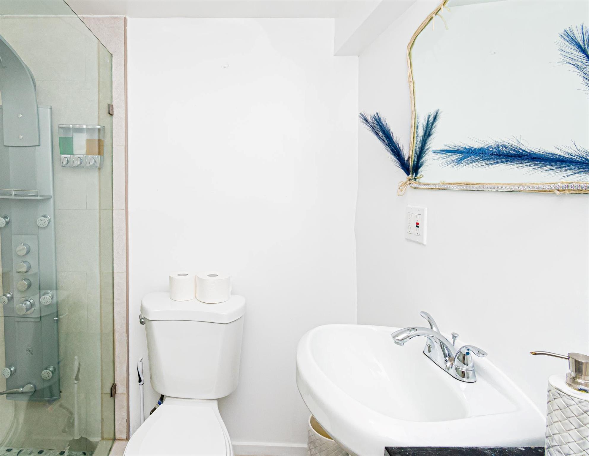 Single Family Bradford  Brooklyn, NY 11207, MLS-809086-7
