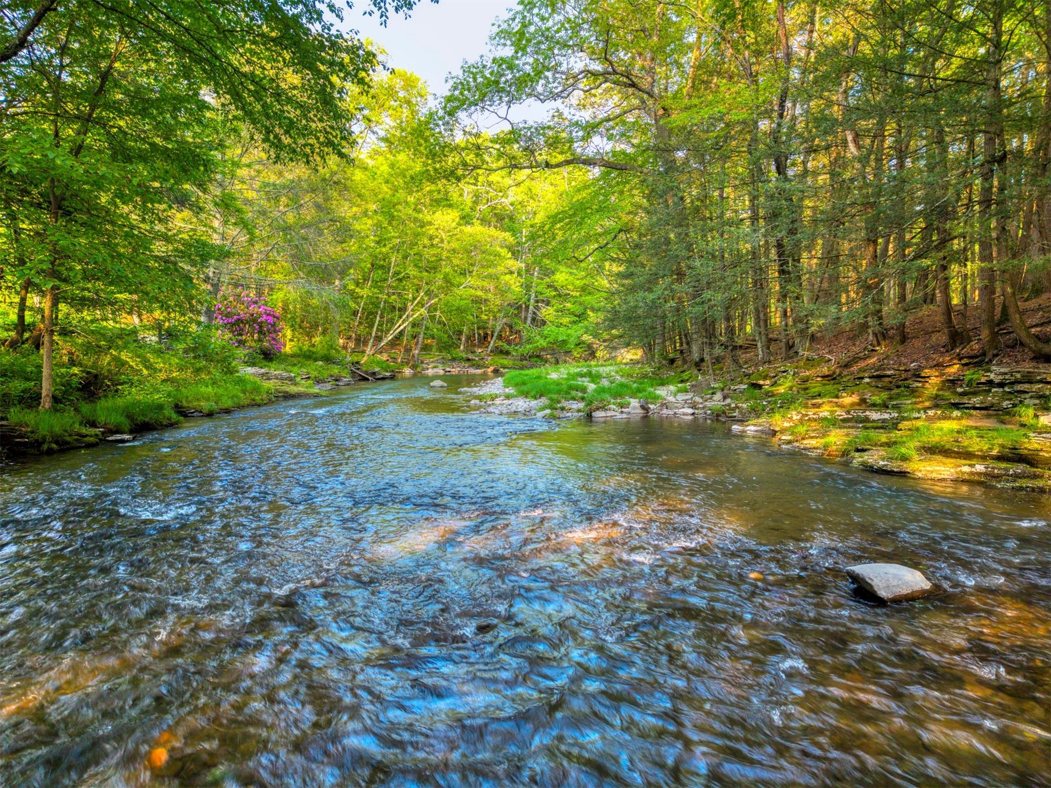 Single Family Route 212  Ulster County, NY 12498, MLS-809577-2