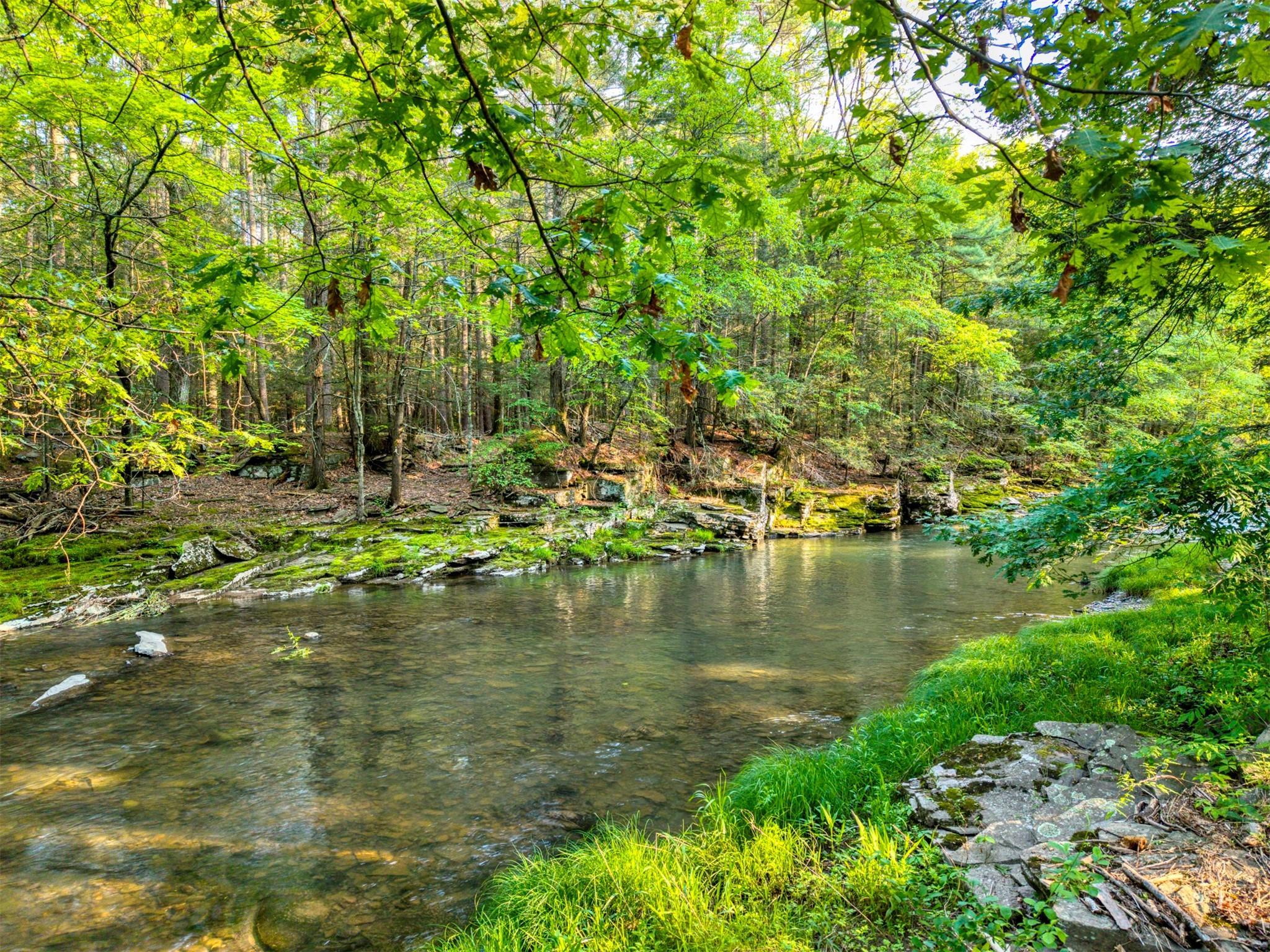 Single Family Route 212  Ulster County, NY 12498, MLS-809577-47