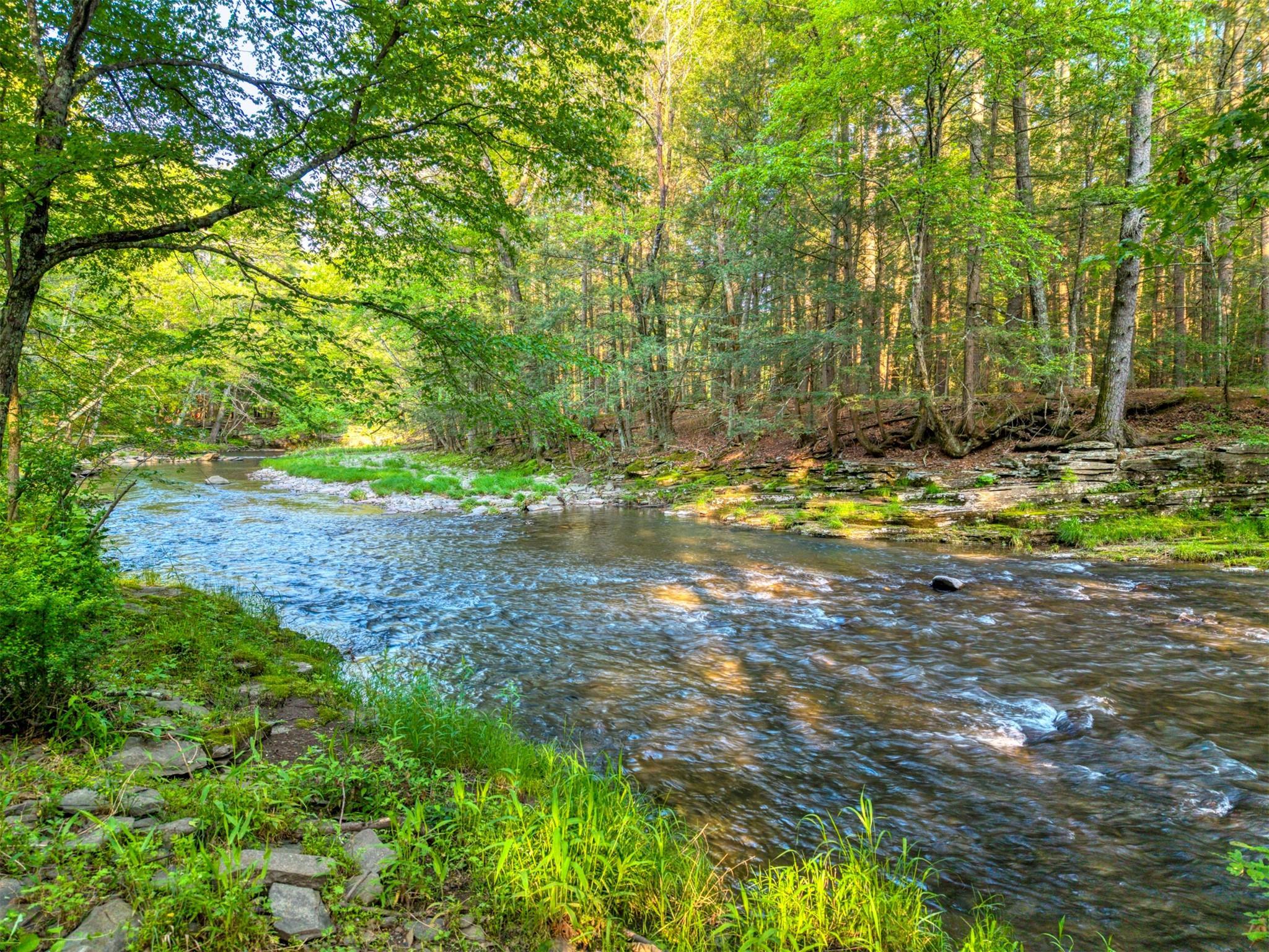Single Family Route 212  Ulster County, NY 12498, MLS-809577-49