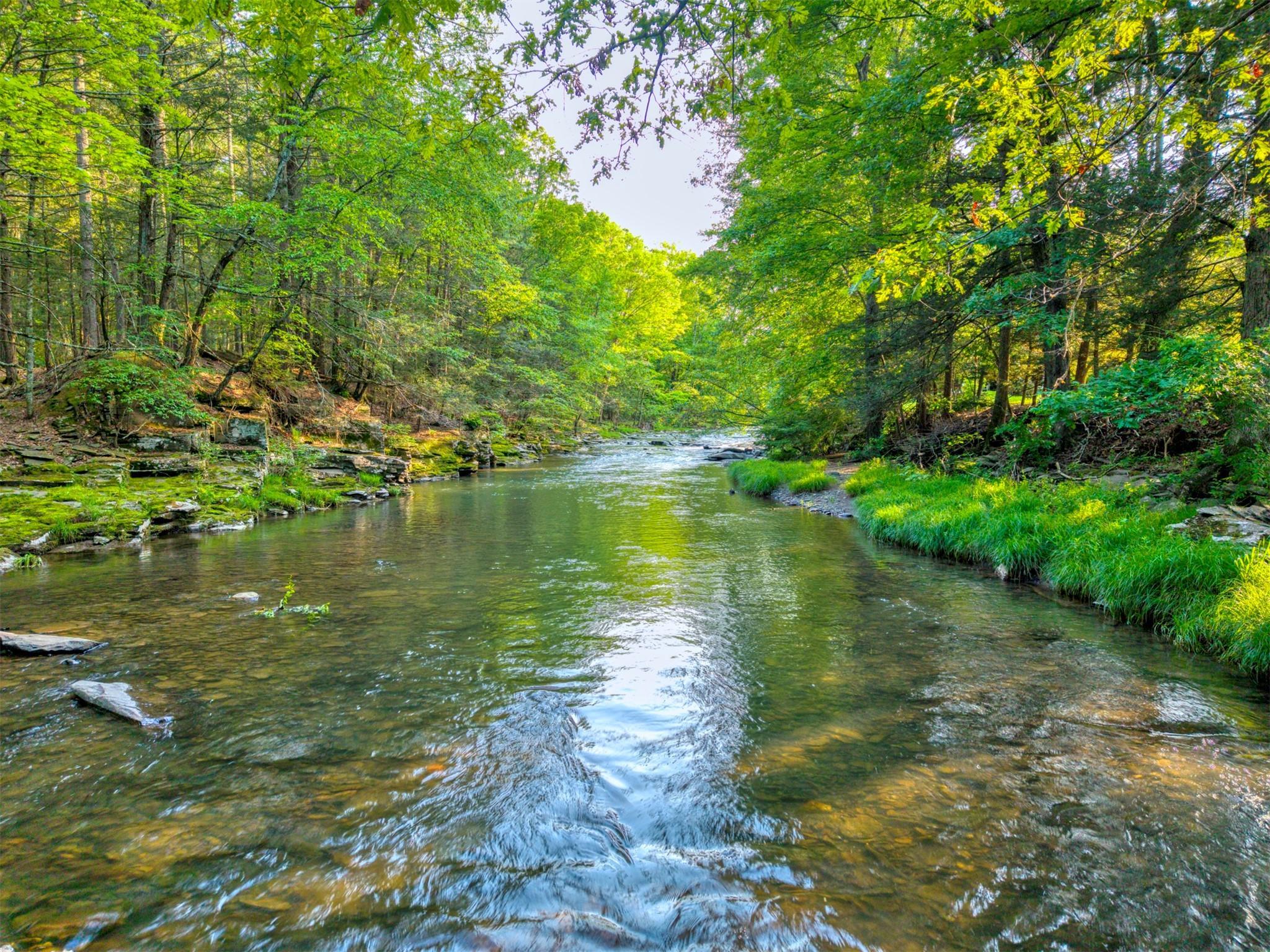 Single Family Route 212  Ulster County, NY 12498, MLS-809577-50