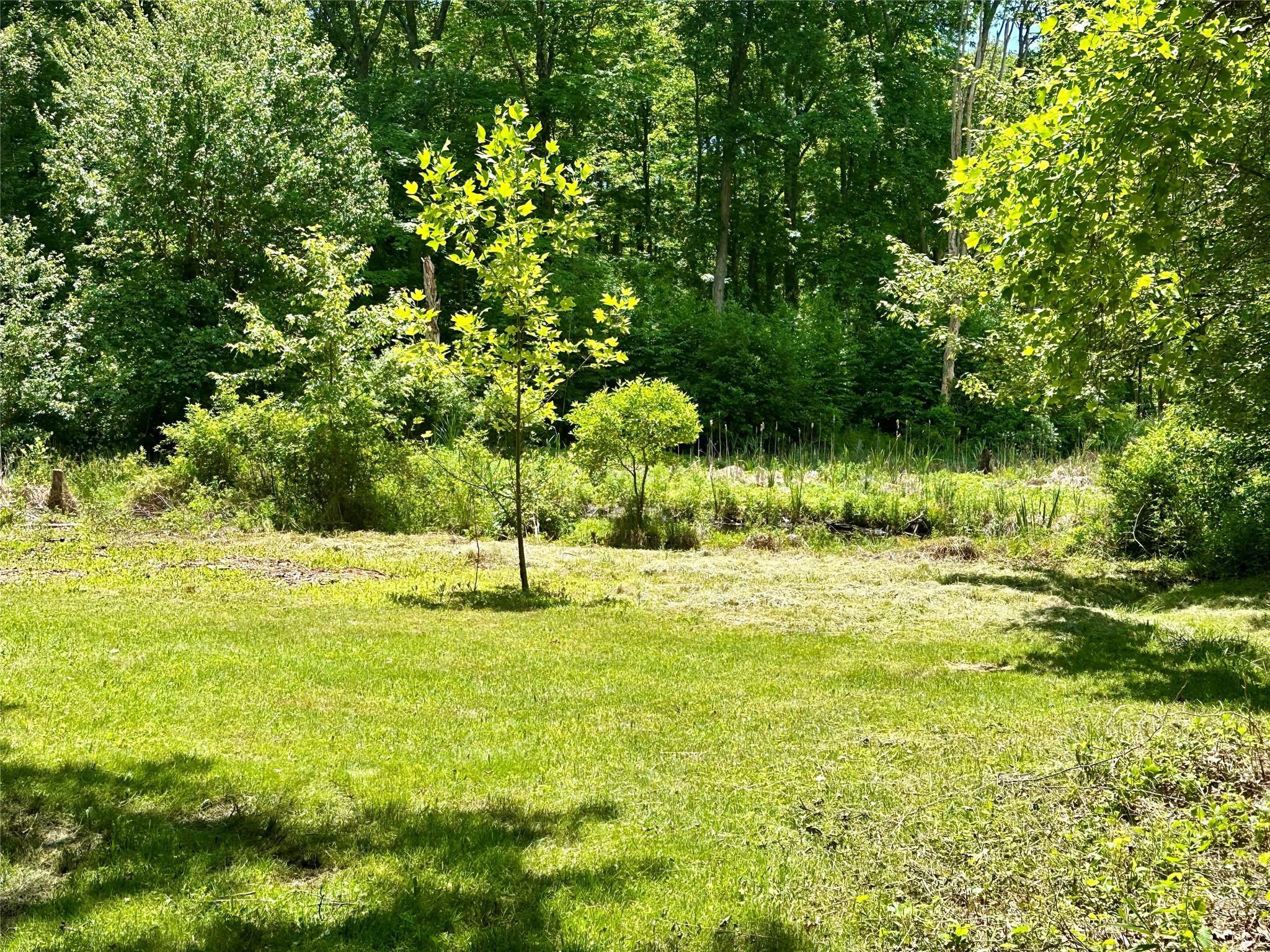 Single Family Old Tuxedo  Orange County, NY 10950, MLS-810045-11