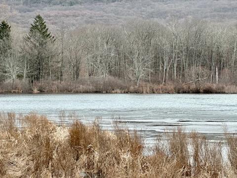 Single Family Old Tuxedo  Orange County, NY 10950, MLS-810045-12