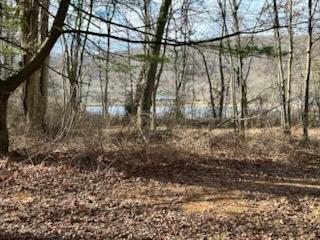Single Family Old Tuxedo  Orange County, NY 10950, MLS-810045-15