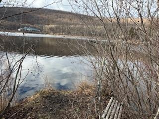 Single Family Old Tuxedo  Orange County, NY 10950, MLS-810045-18