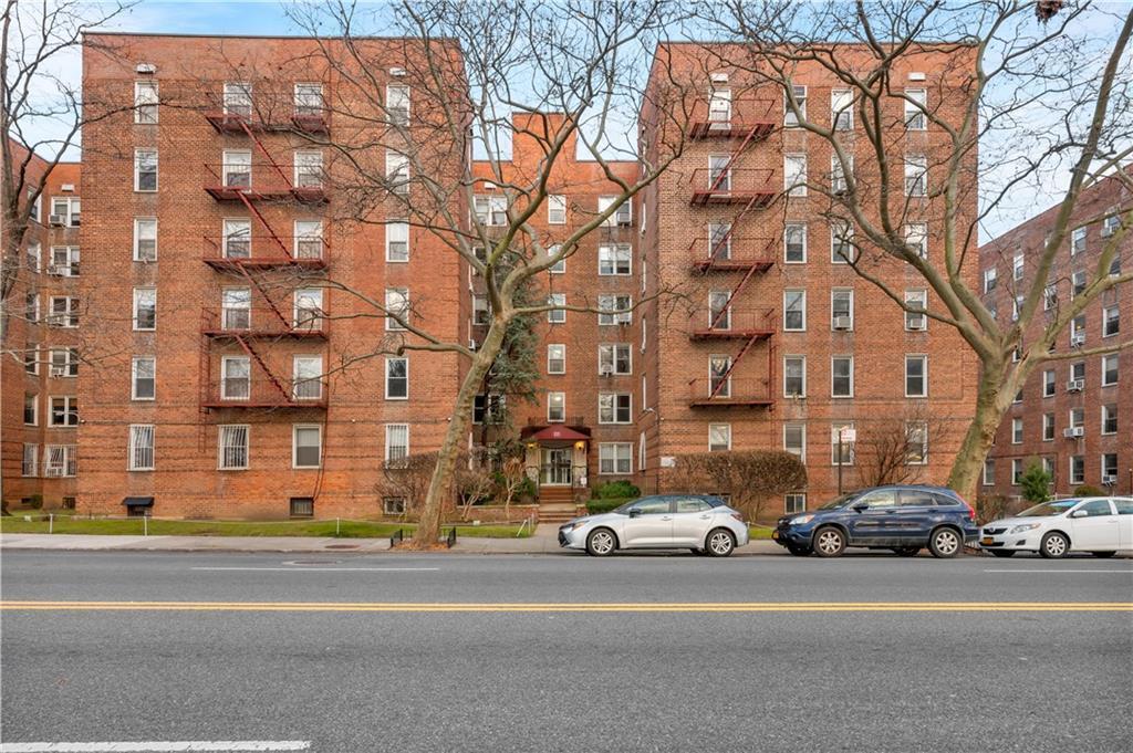 Coop Mcdonald  Brooklyn, NY 11218, MLS-810417-20