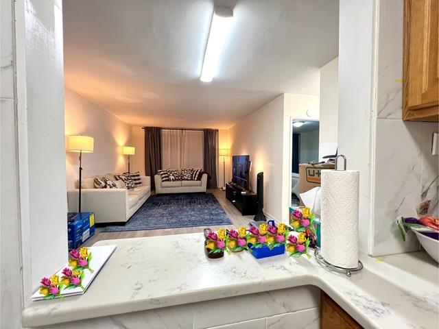 Coop Braddock  Queens, NY 11428, MLS-810537-21