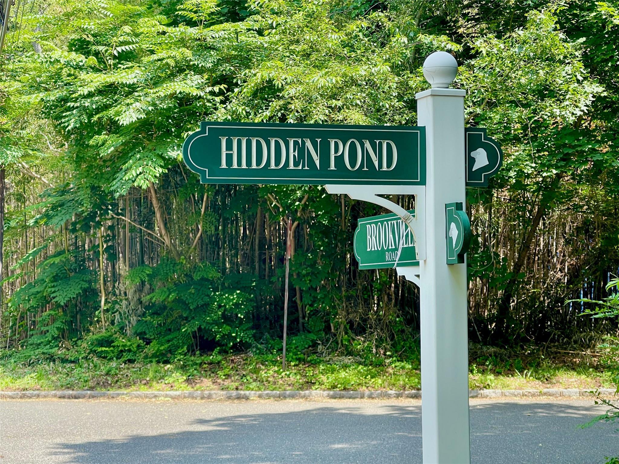 Single Family Hidden Pond  Nassau County, NY 11545, MLS-810963-23