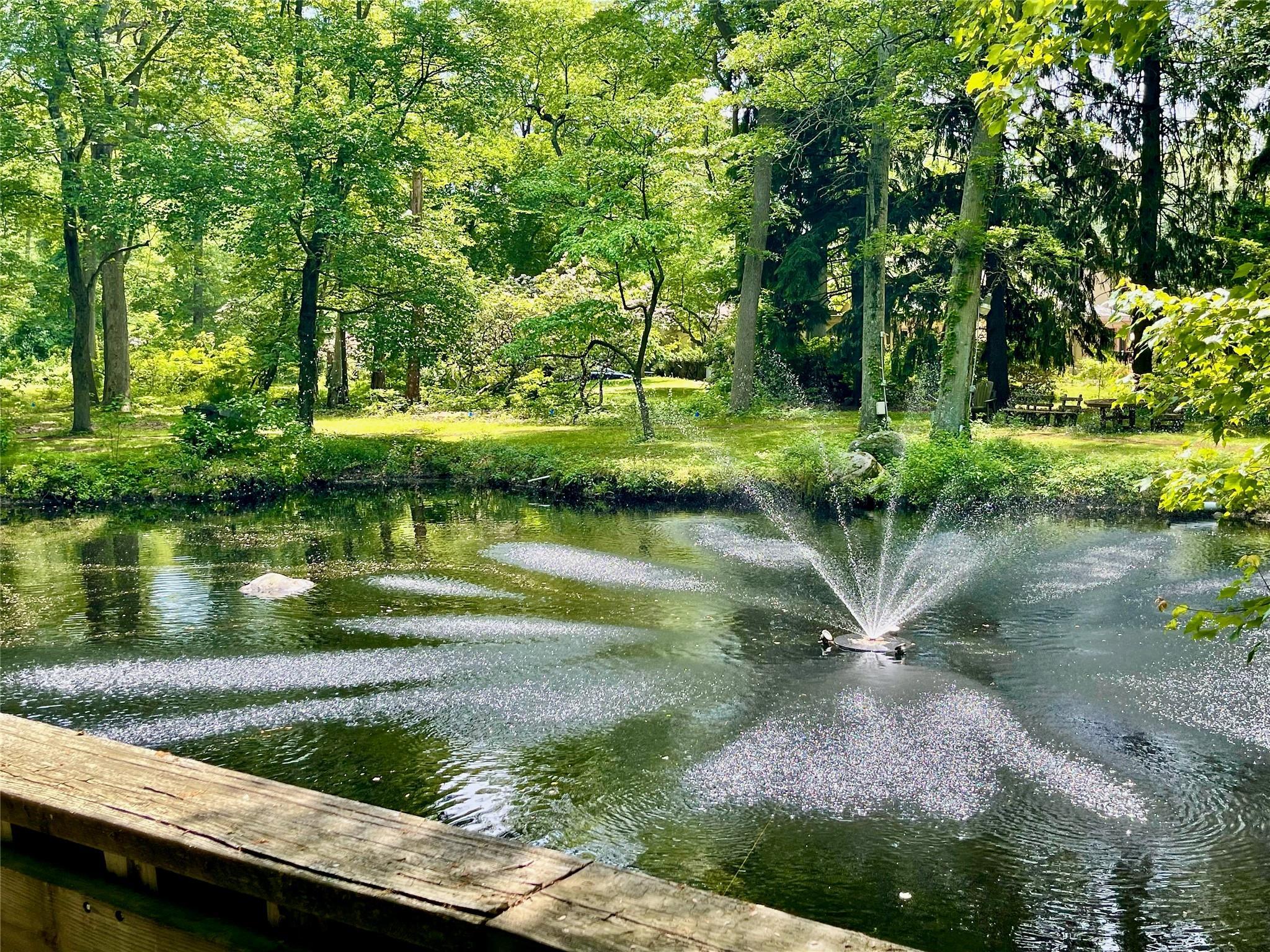 Single Family Hidden Pond  Nassau County, NY 11545, MLS-810963-9