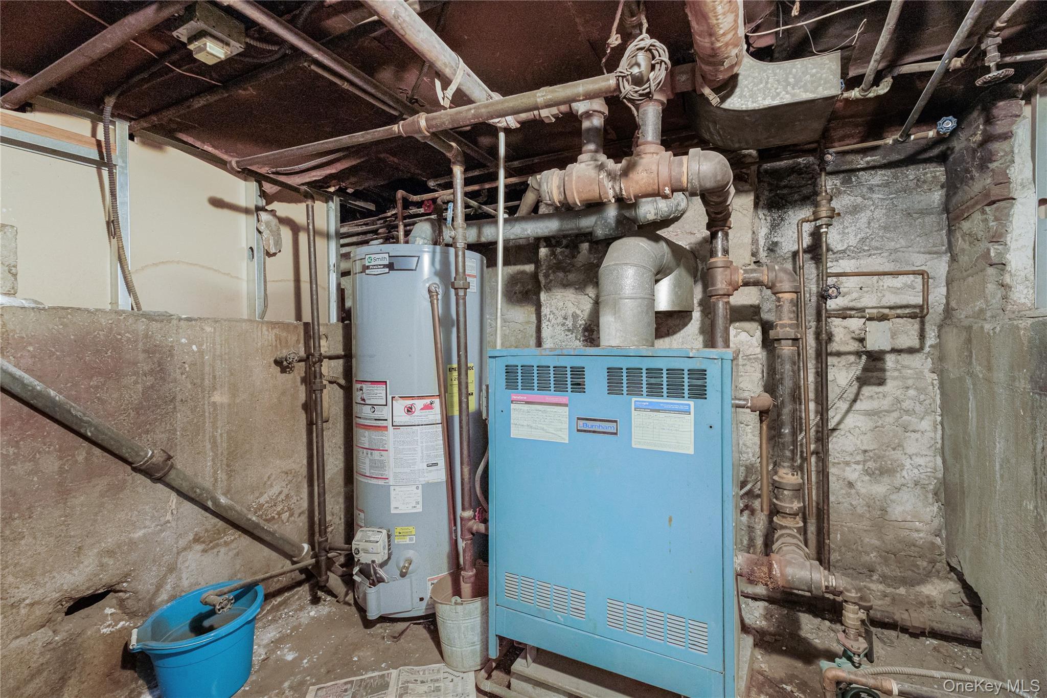 Single Family 35th  Brooklyn, NY 11203, MLS-810987-25