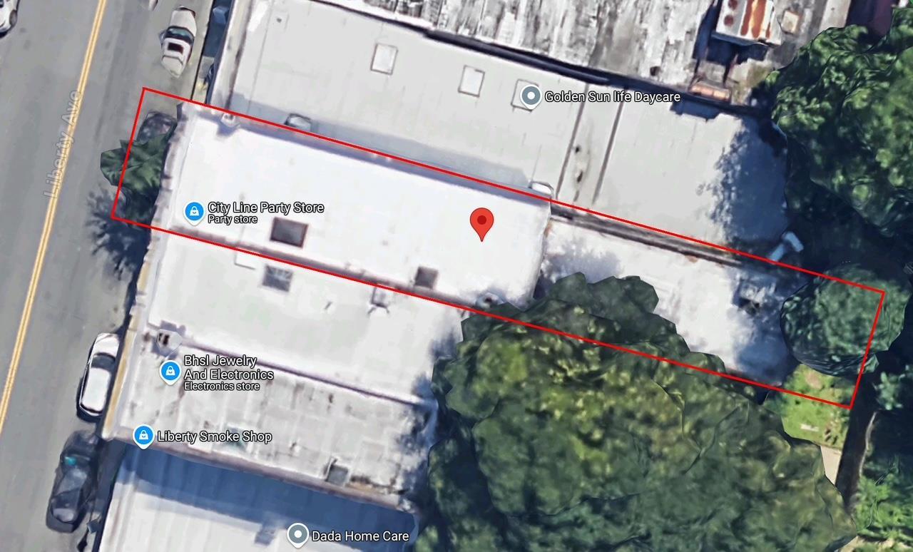 Commercial Sale Liberty  Brooklyn, NY 11208, MLS-811323-8