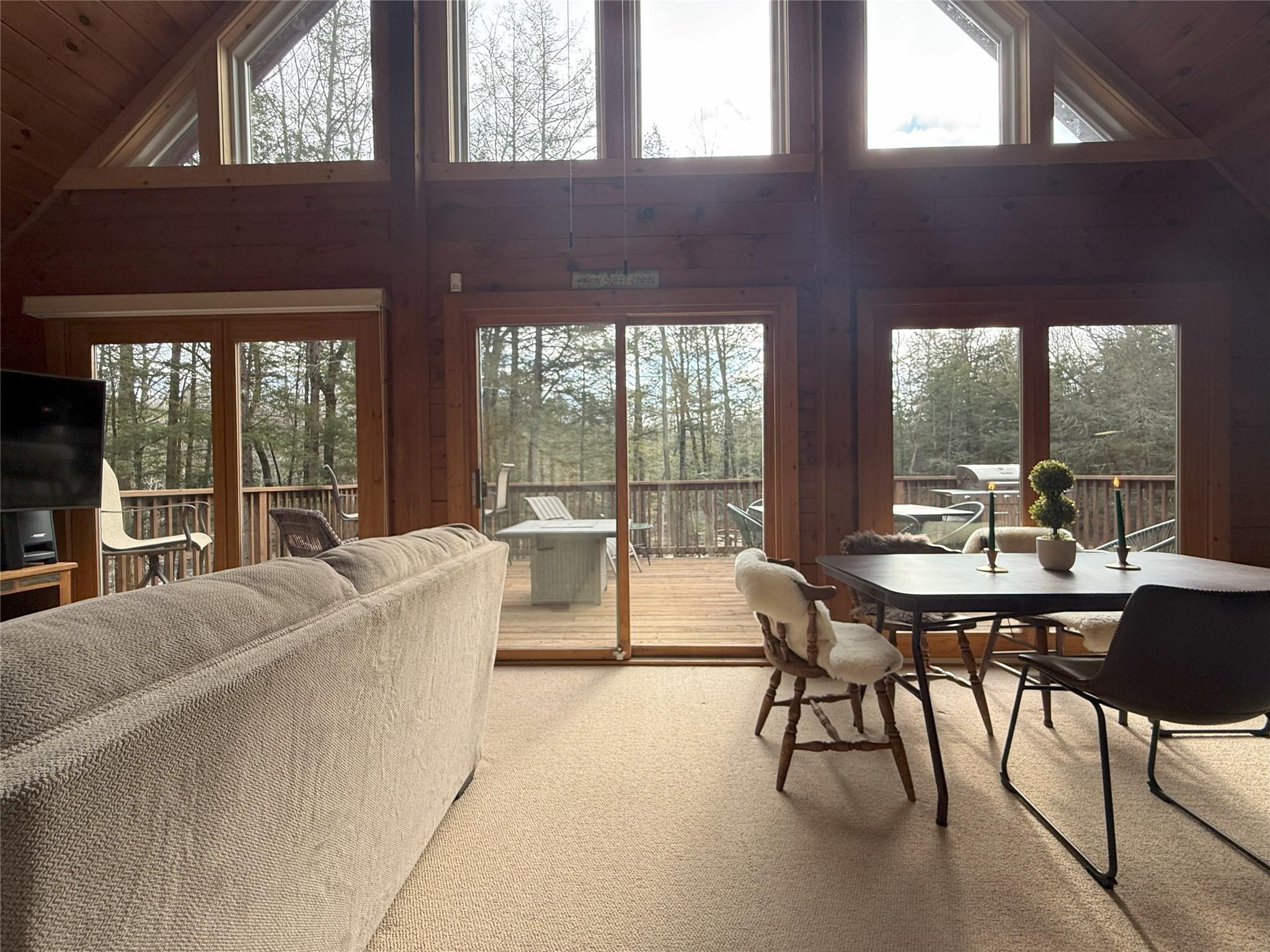 Single Family Laurie  Greene County, NY 12413, MLS-811919-14