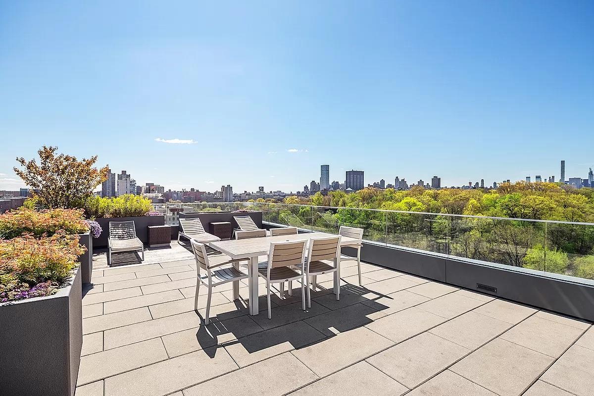 Condo 110  Manhattan, NY 10026, MLS-812026-12