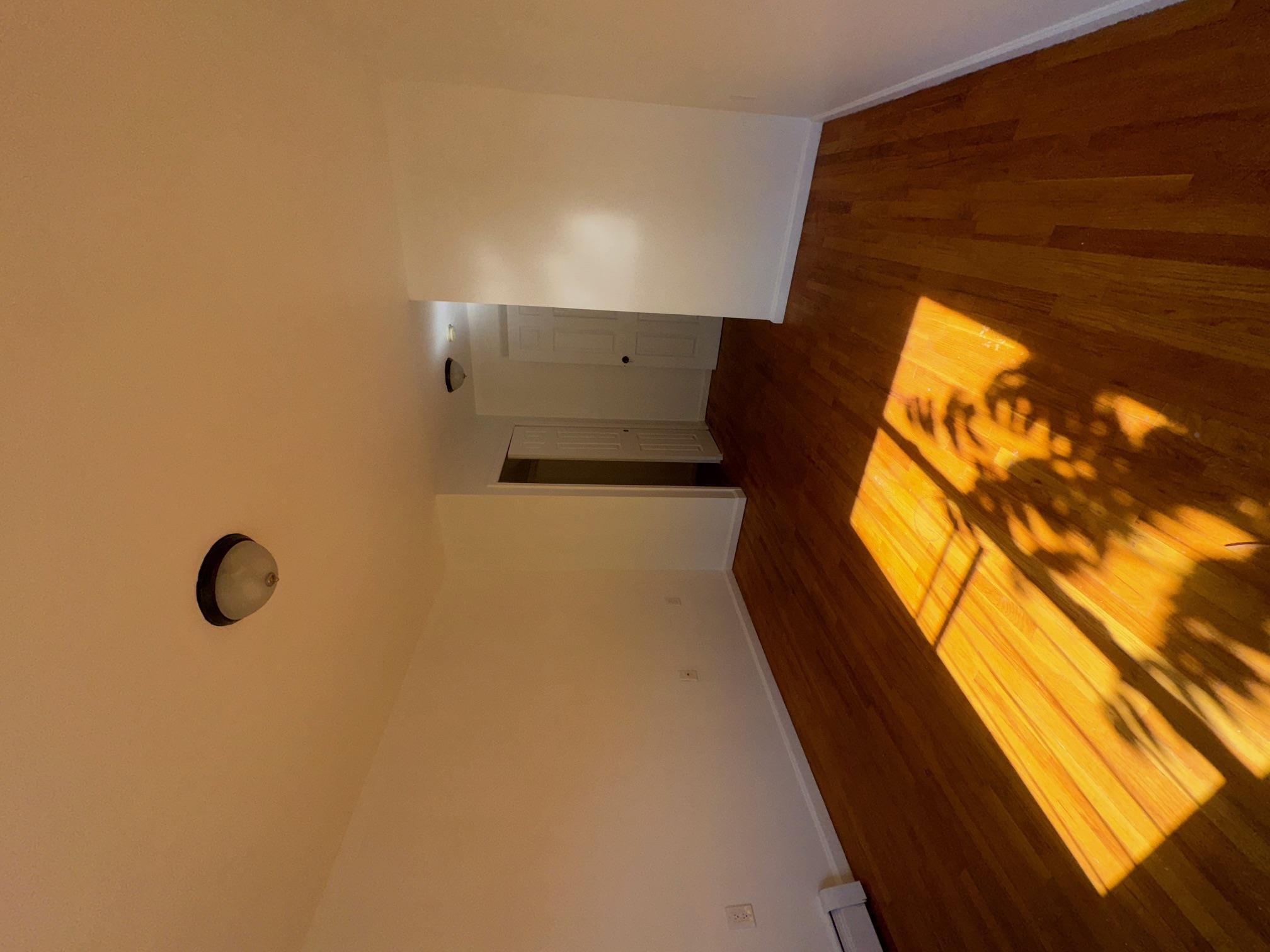 Single Family Coster  Bronx, NY 10474, MLS-812153-14