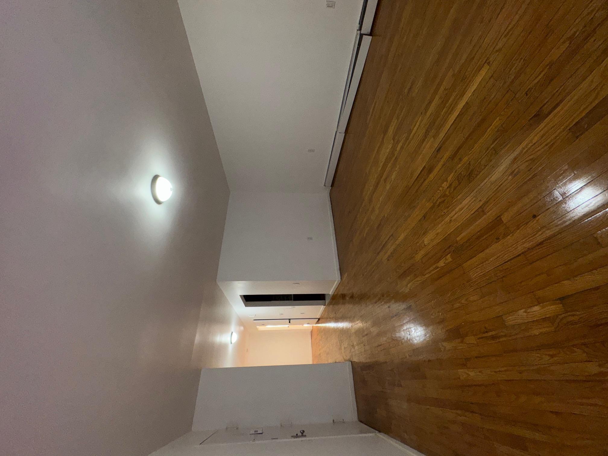 Single Family Coster  Bronx, NY 10474, MLS-812153-19
