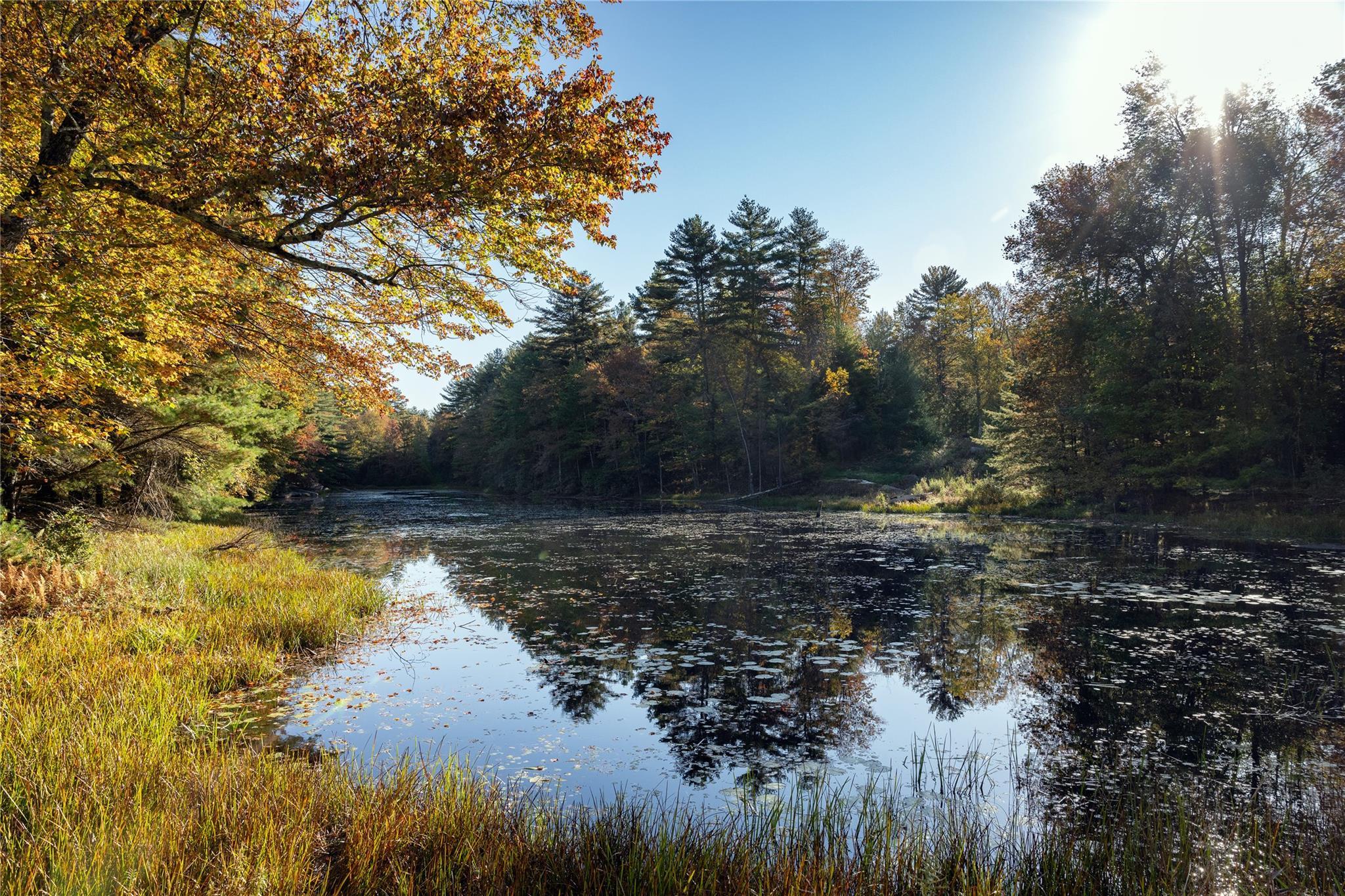 Single Family Lucks  Ulster County, NY 12435, MLS-814076-16