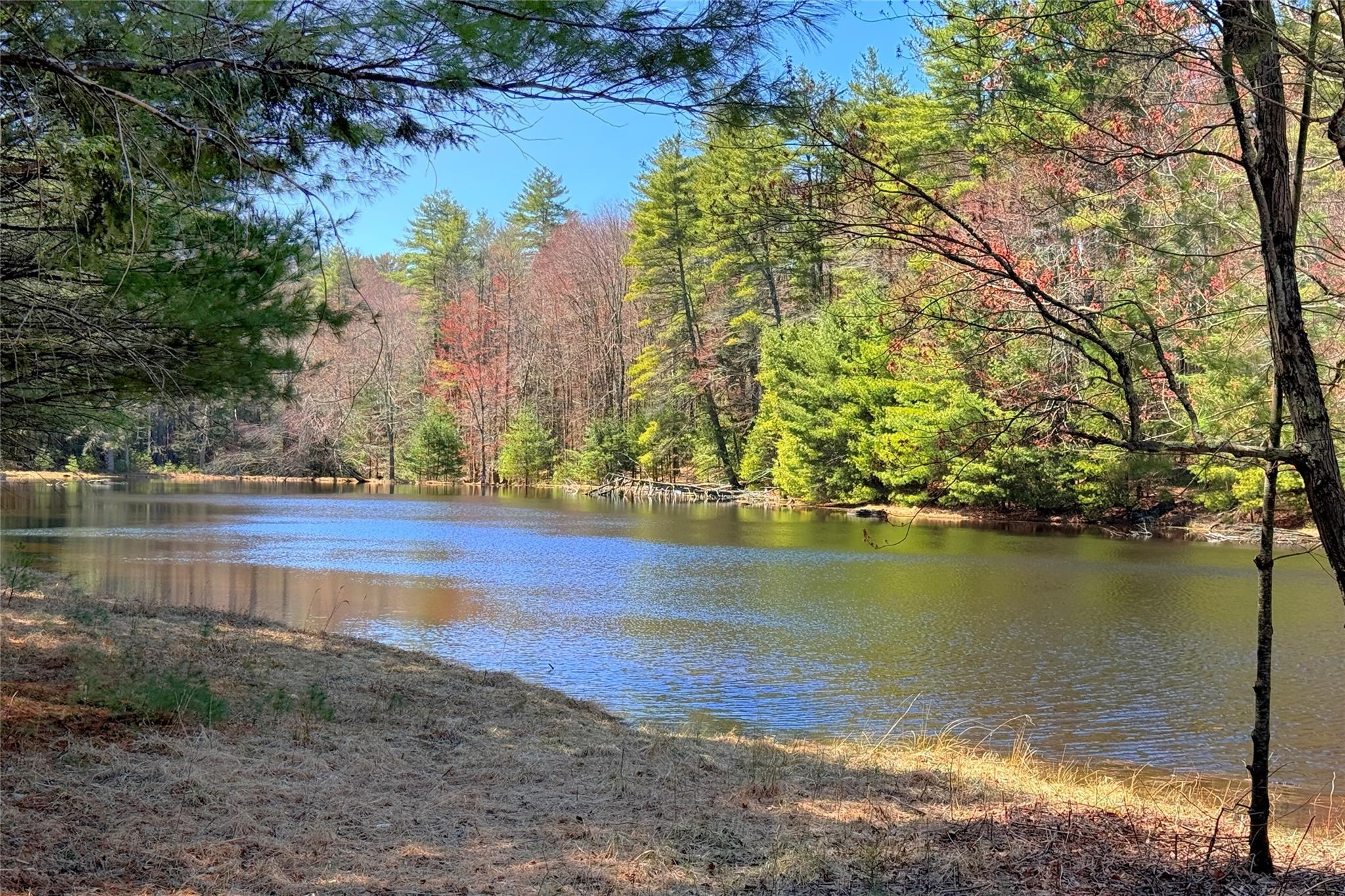 Single Family Lucks  Ulster County, NY 12435, MLS-814076-17