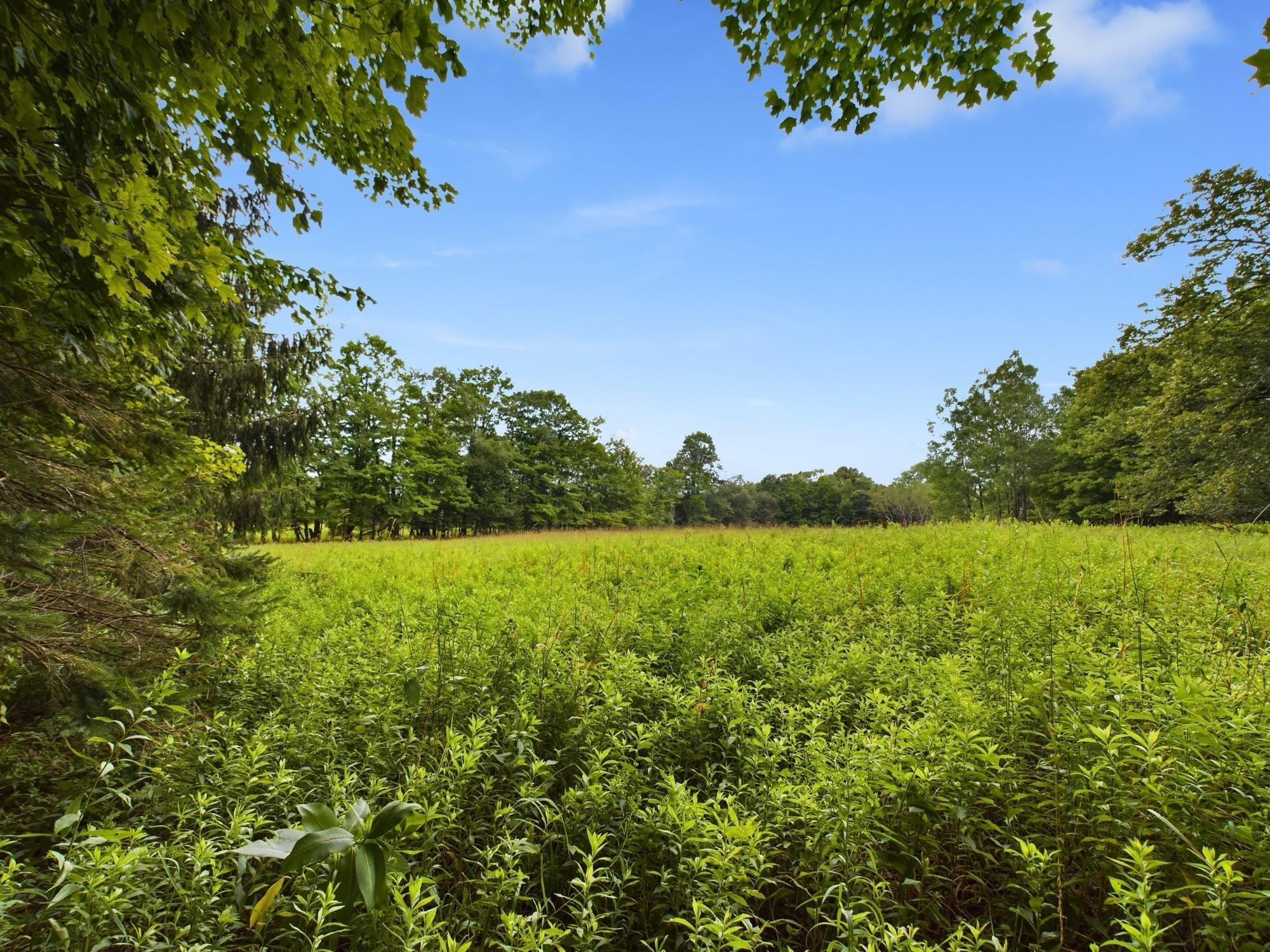 Single Family Cattail  Sullivan County, NY 12758, MLS-814161-35