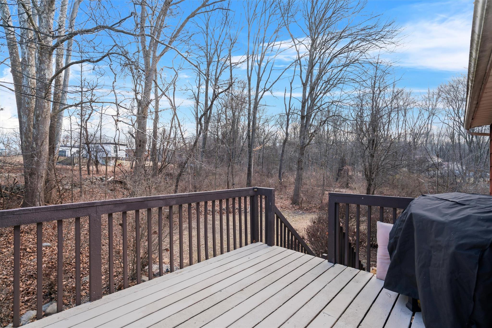 Single Family Townsend  Orange County, NY 12553, MLS-814257-36