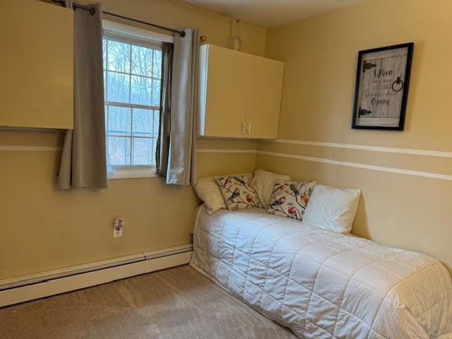 Single Family Townsend  Orange County, NY 12553, MLS-814257-44