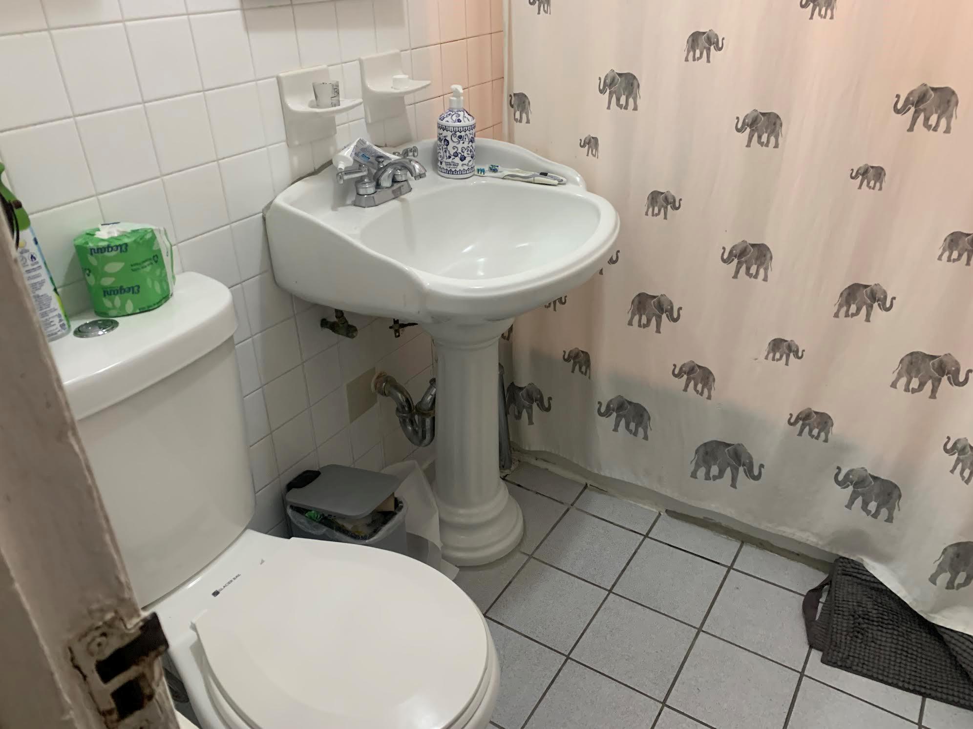 Single Family 81  Queens, NY 11370, MLS-814522-18