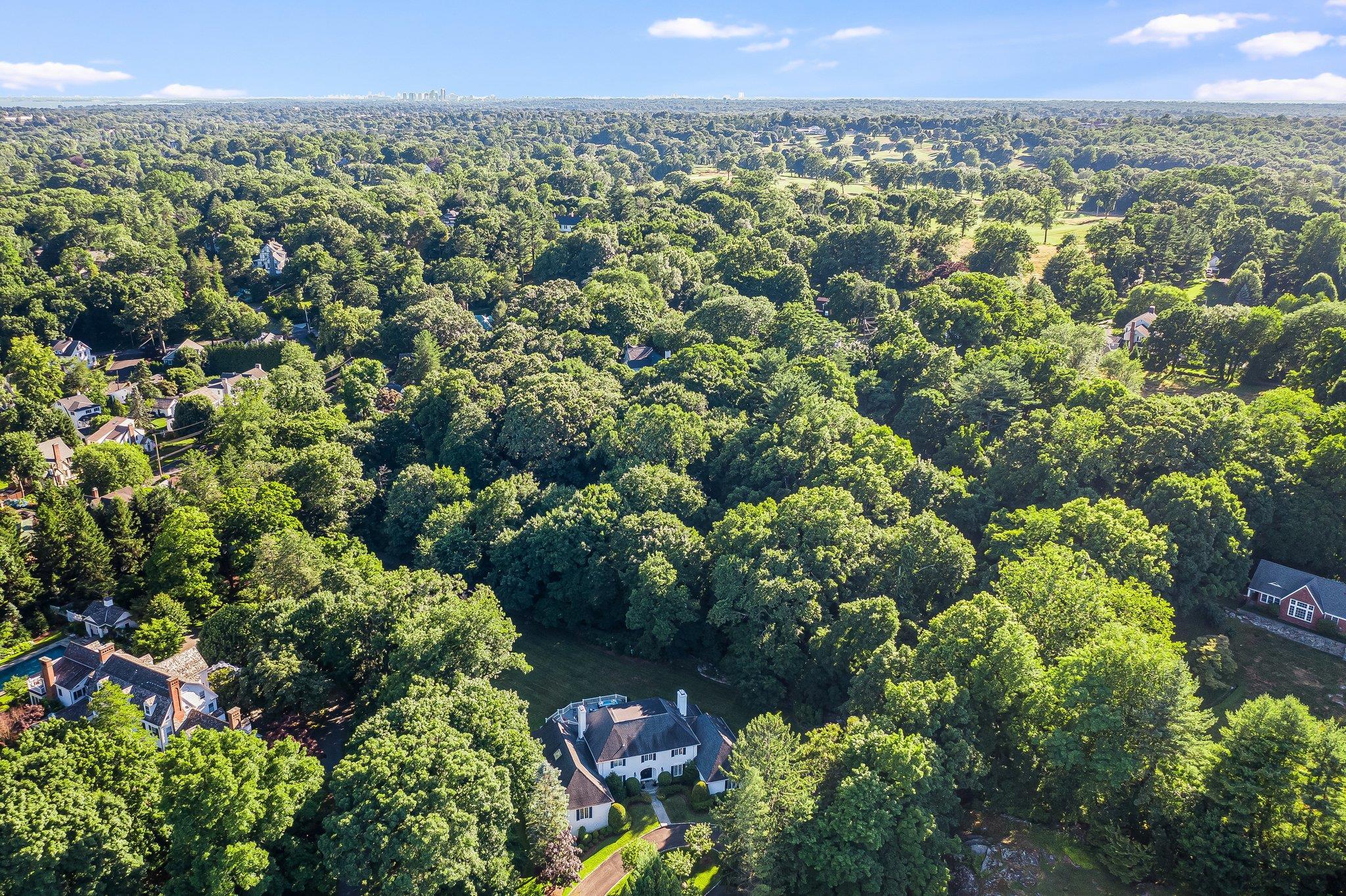 Single Family Purchase  Westchester County, NY 10580, MLS-814550-46