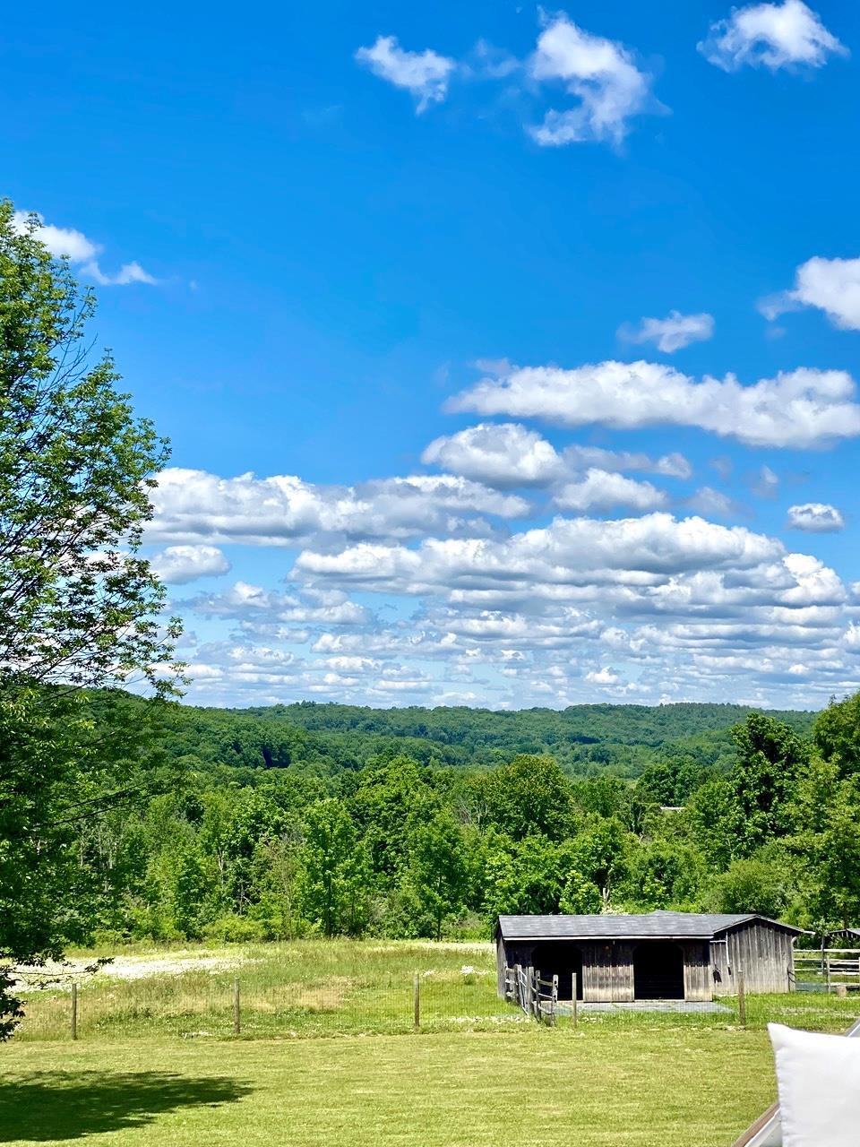 Single Family Orchard Hill  Dutchess County, NY 12545, MLS-814582-37