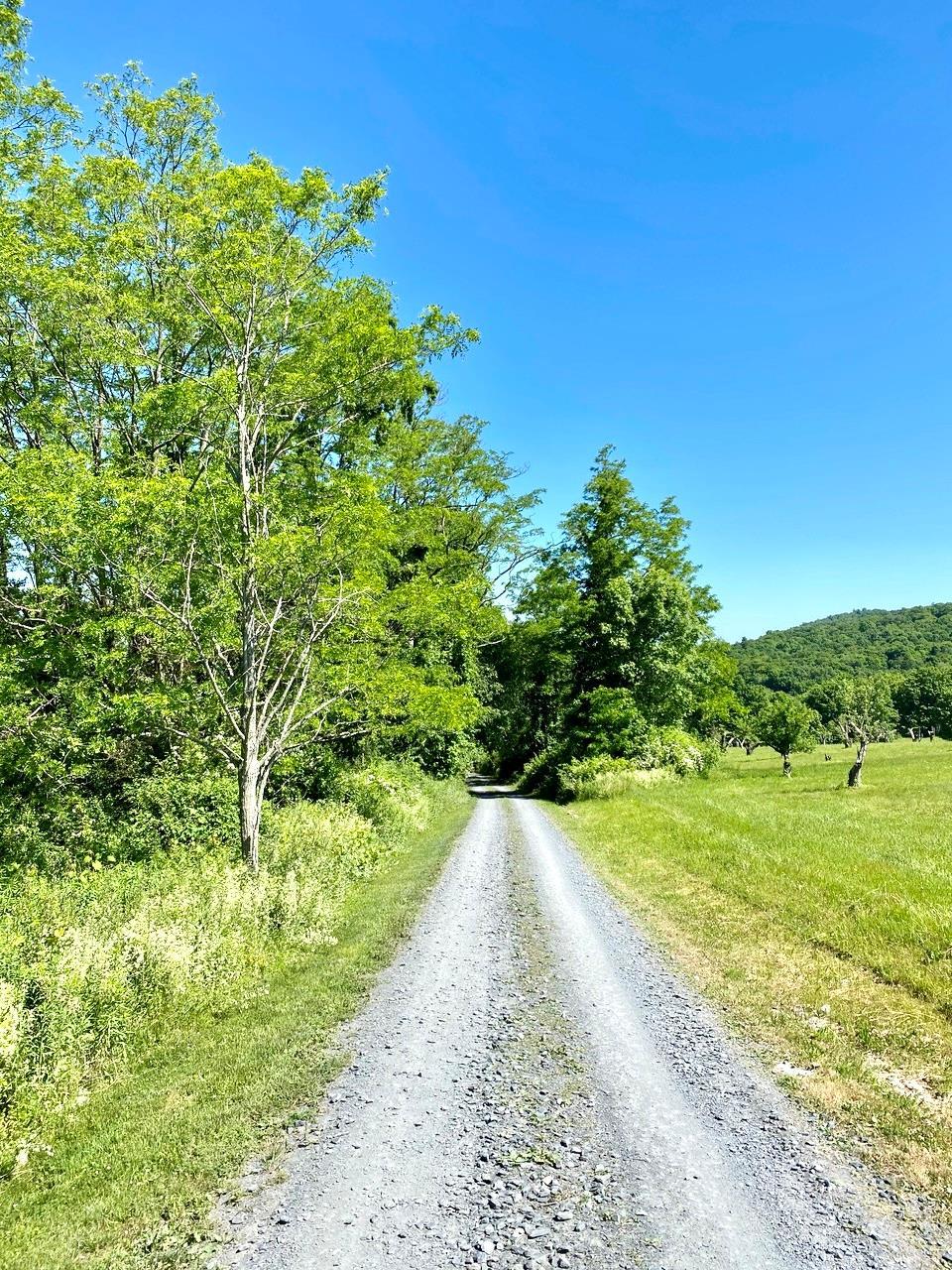 Single Family Orchard Hill  Dutchess County, NY 12545, MLS-814582-38